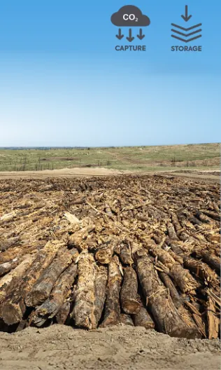 Biomass burial, artwork from the CDR methods wall by Carbon Gap.