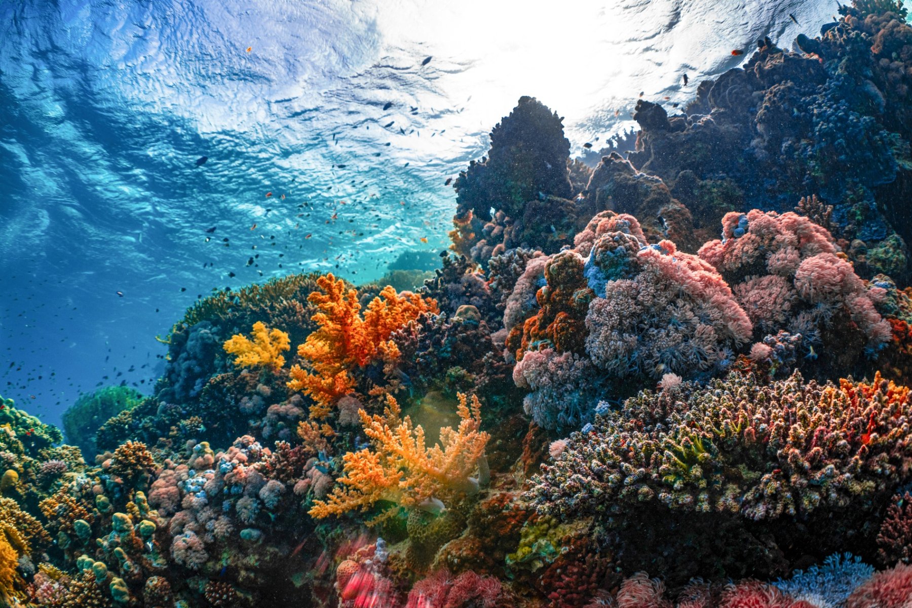 Call for Evidence on the European Ocean Act