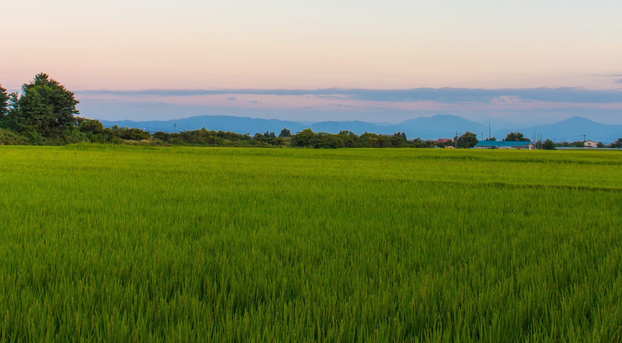 How to create safe, effective and just soil carbon governance