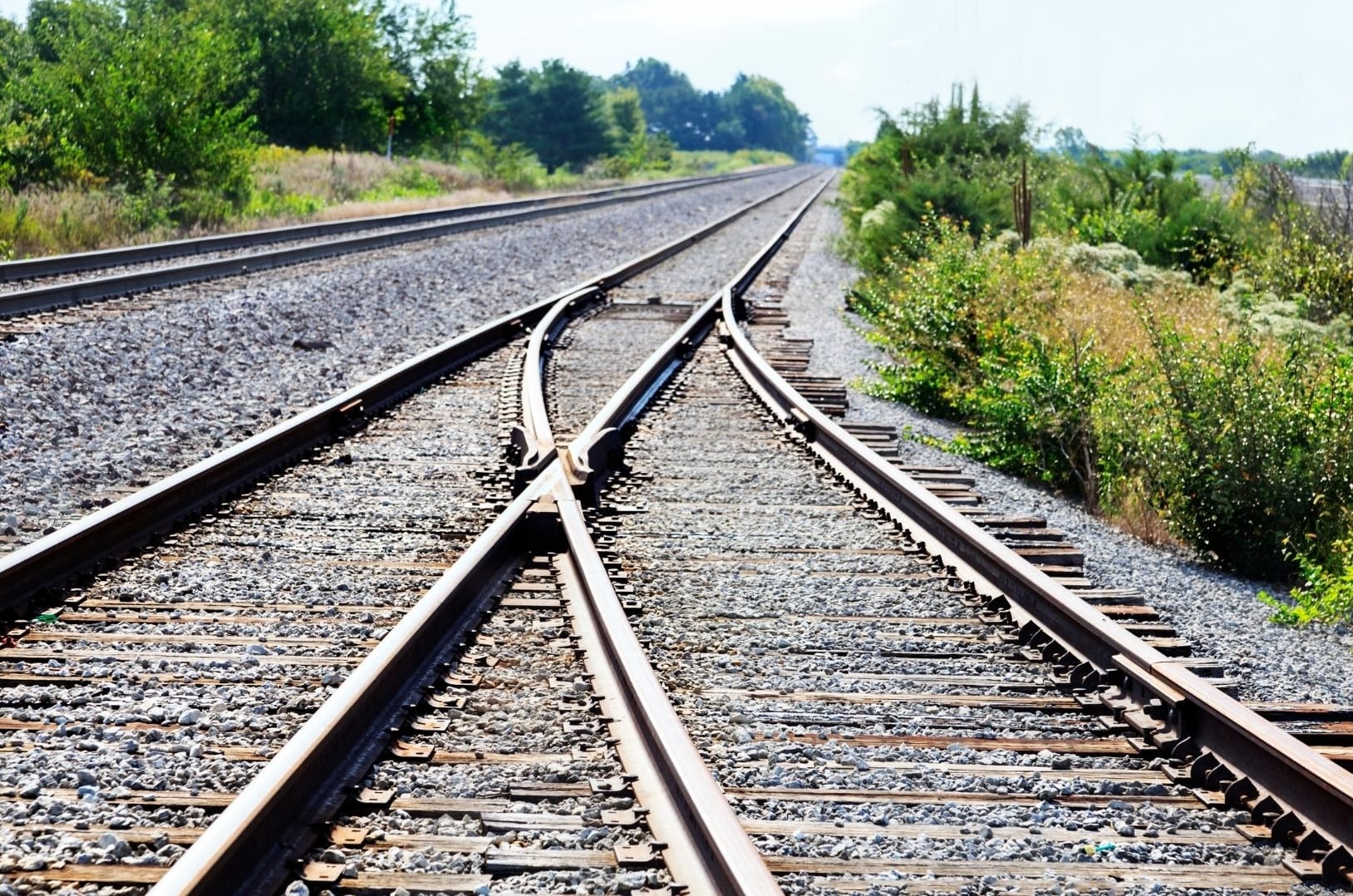 Balancing demand incentives with climate integrity: Carbon Gap’s views on integrating carbon removals into the EU ETS