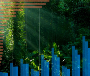 02 October | Target Practice: How much carbon removal for the EU?