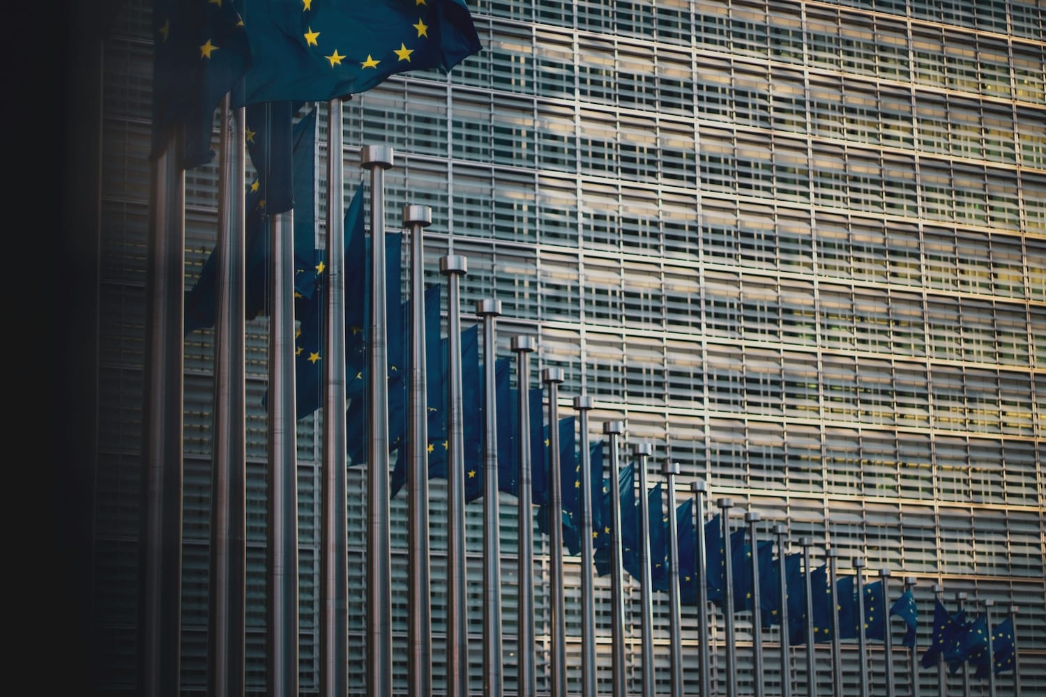 Multiannual Financial Framework Public Consultation