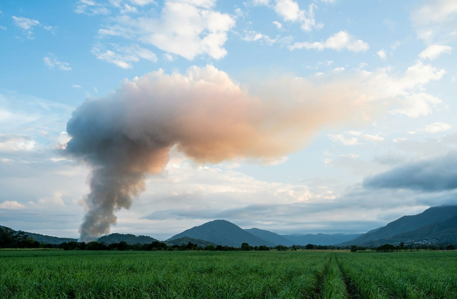 Clean Industrial Deal: another missed opportunity for scaling up carbon removal in Europe
