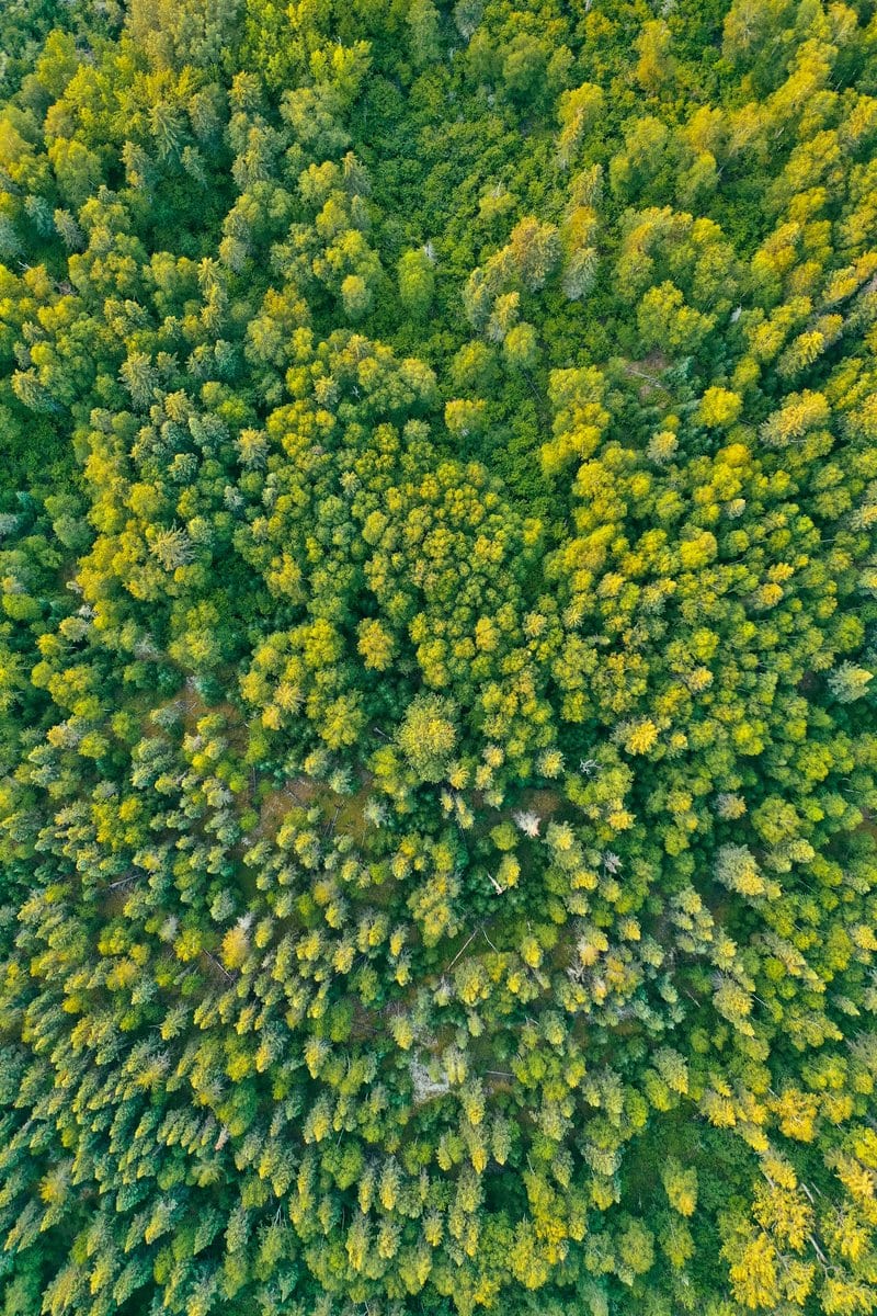 Three Paths to Net-Zero and Beyond: Finland’s Race Against the Carbon Clock