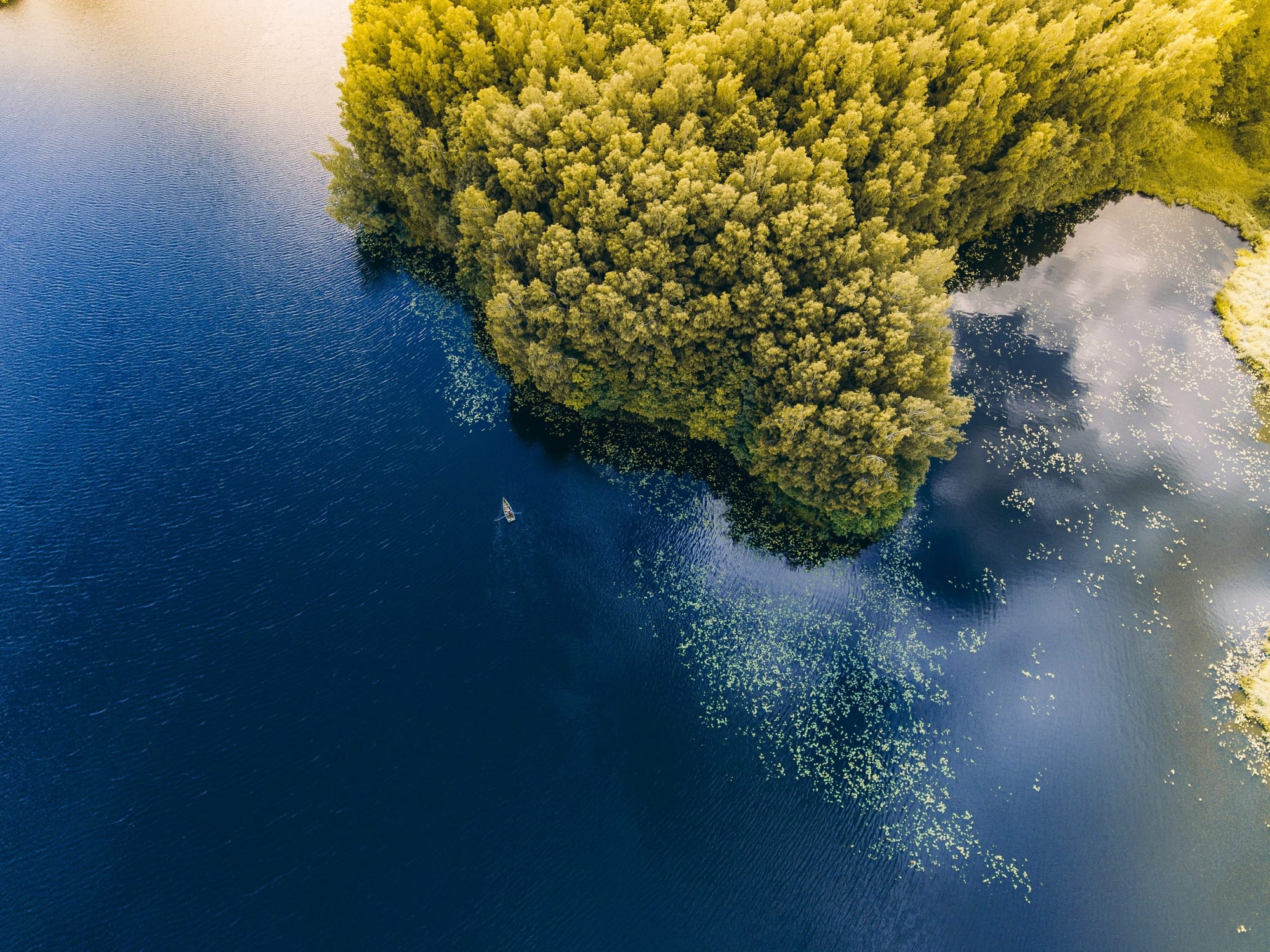 Carbon Removal Readiness Assessments underway in Finland, Germany, Italy, Poland, and Spain