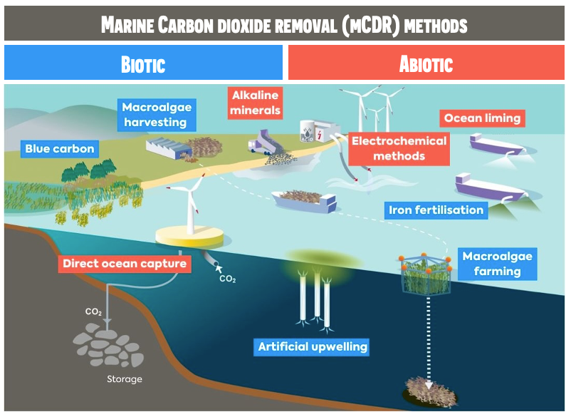 mCDR_overview.png