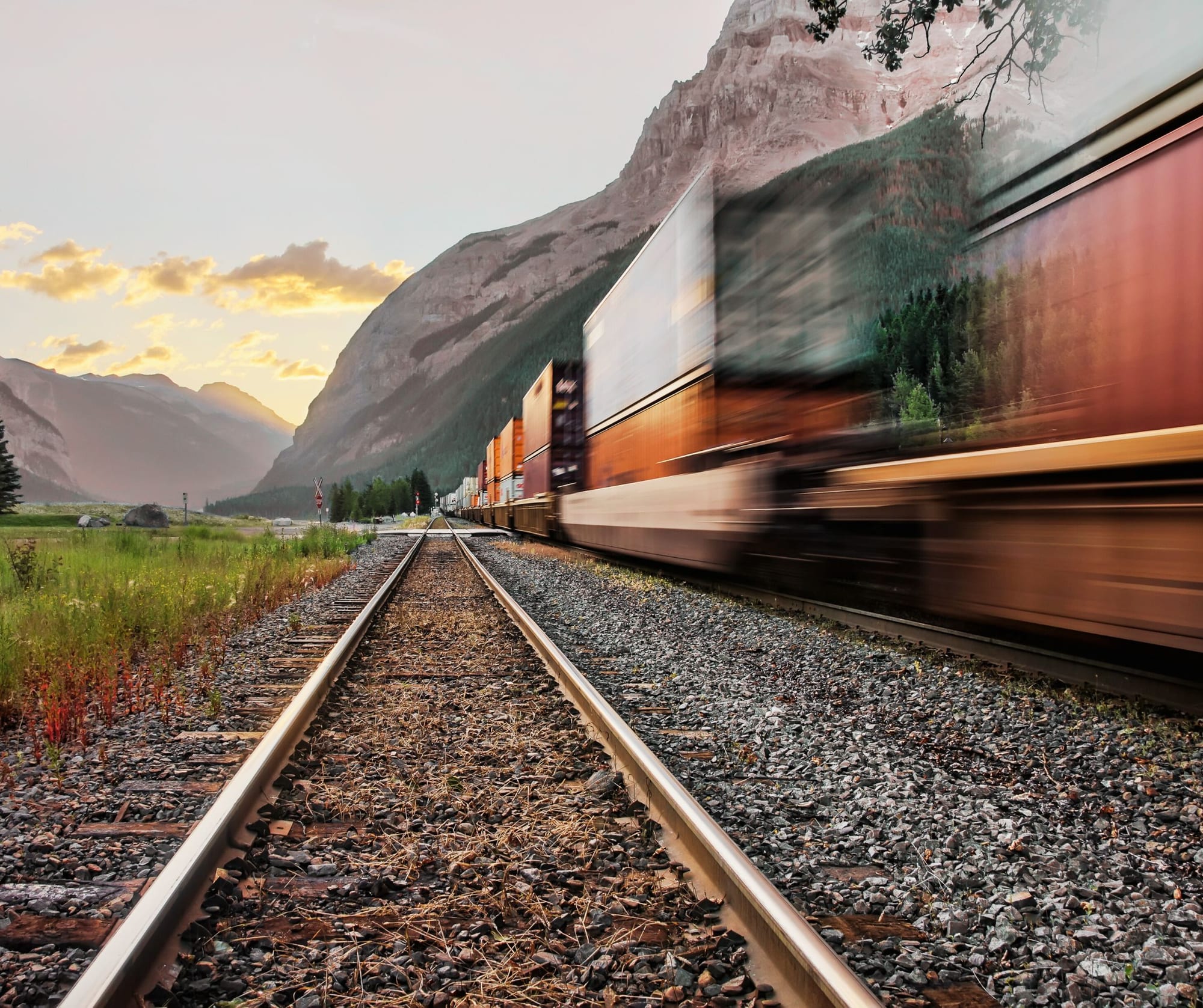 From Targets to Tonnes - Exploring compliance Options for Carbon Removal in the EU