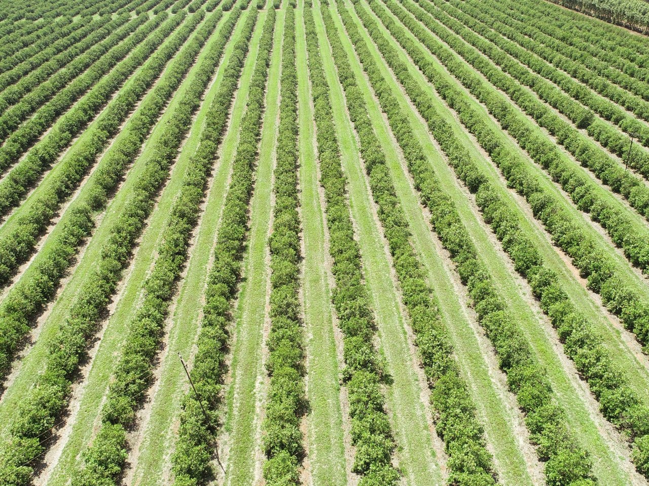 The Biogenic Balance: Characterising emissions, matching removals and mapping EU policies