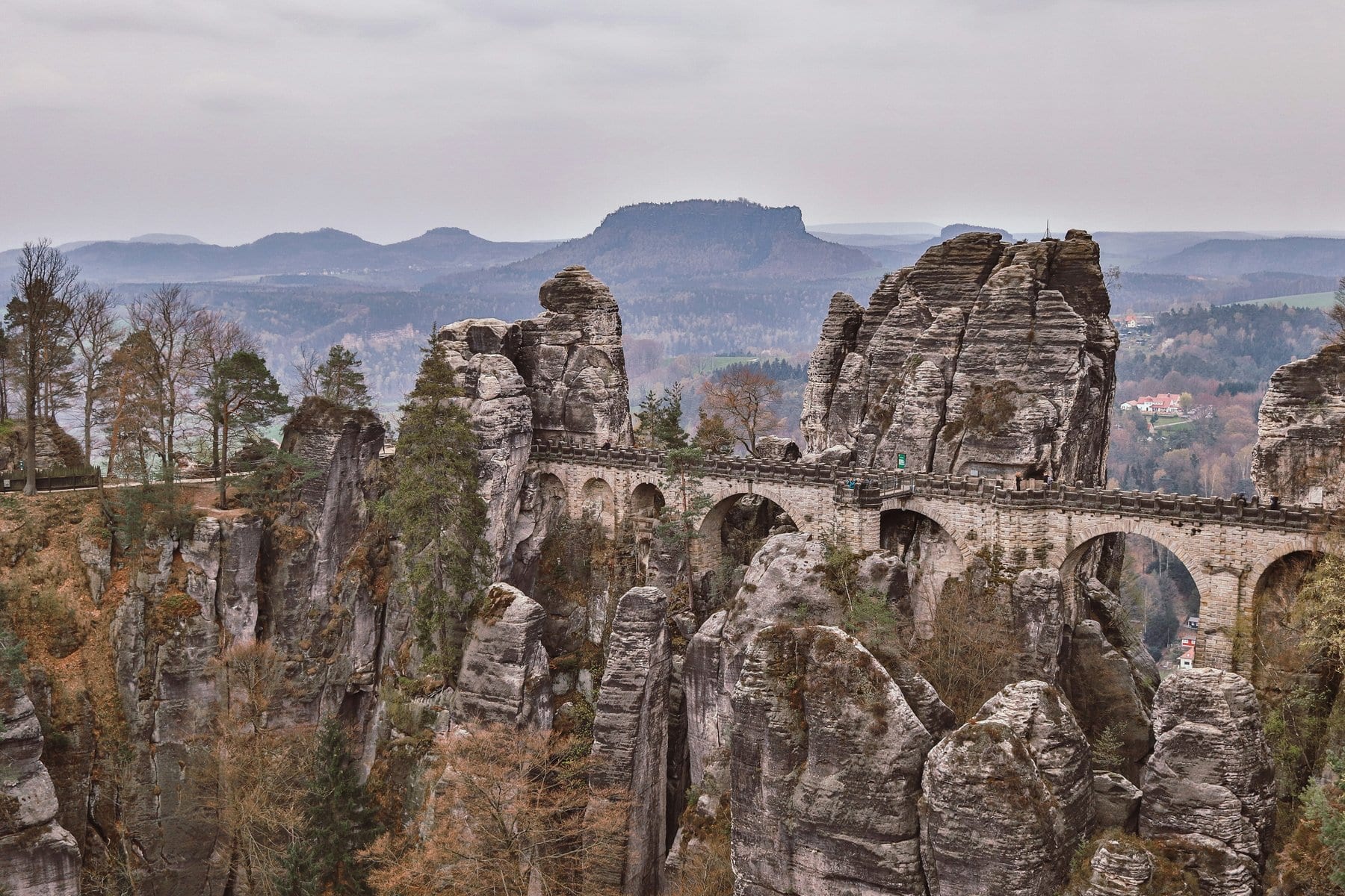 Germany needs carbon removal to reach its net zero climate goals