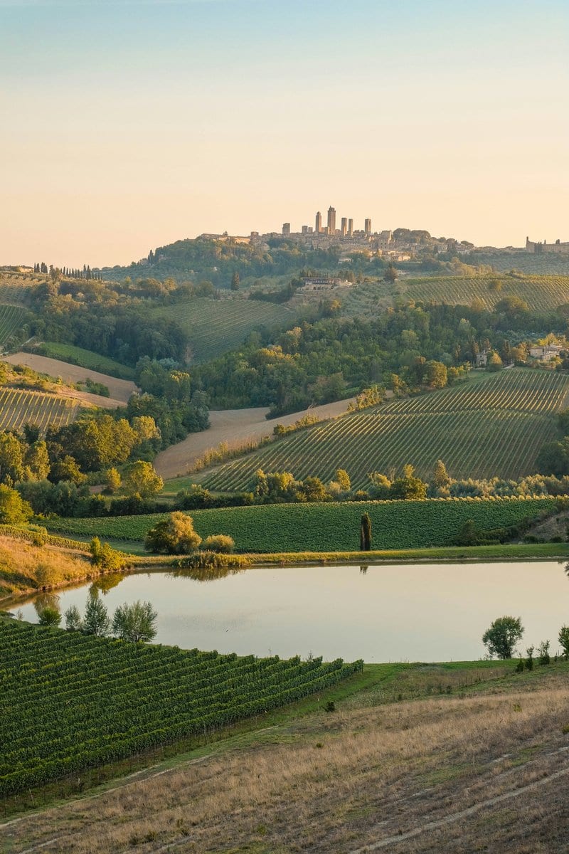 Beyond emissions cuts: Italy's carbon removal opportunity