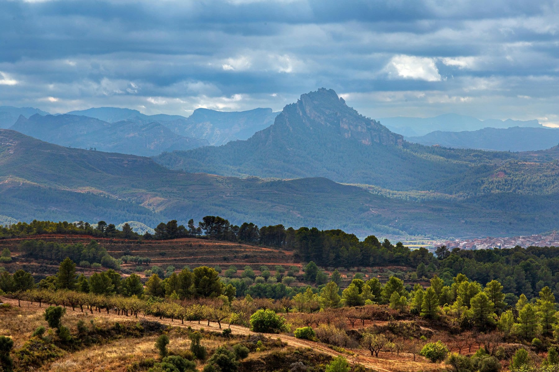 10 March | Launch of Spain’s Carbon Removal Readiness Assessment Report