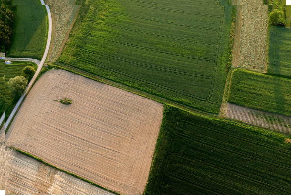 Building on solid ground: why LULUCF target allocation in the EU needs two storeys, not one