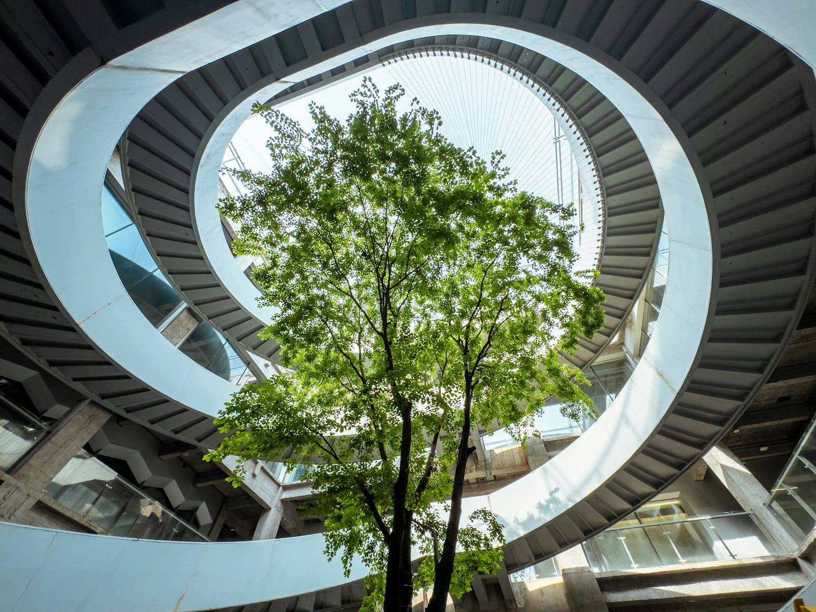 Unlocking corporate demand for carbon removal starts with clear guidance - Policy Summit takeaways